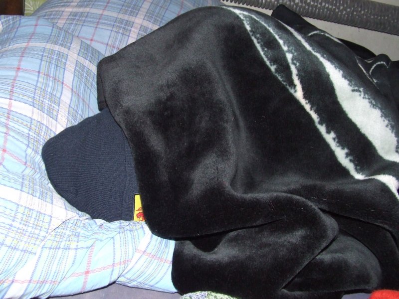 dscf5645.jpg