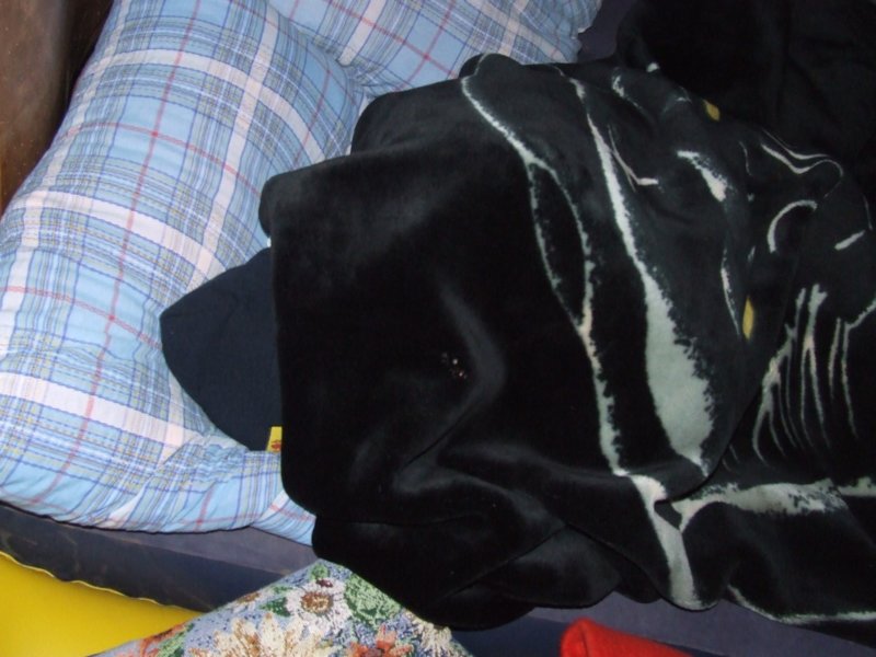 dscf5646.jpg